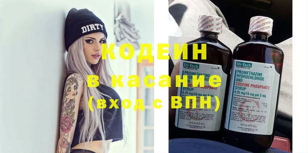 хмурый Алексин