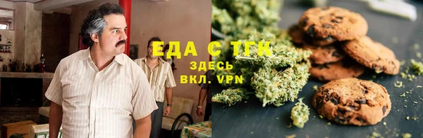 хмурый Алексин
