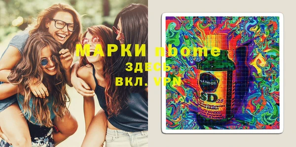 хмурый Алексин