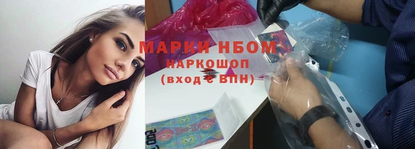 хмурый Алексин