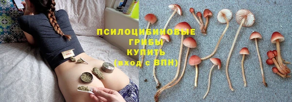 хмурый Алексин