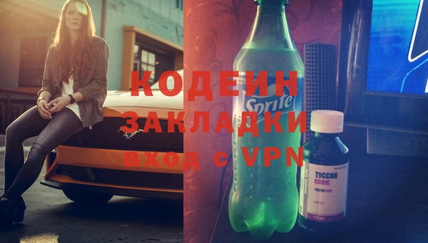 хмурый Алексин