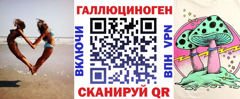 хочу наркоту  Оса  Галлюциногенные грибы Psilocybe 