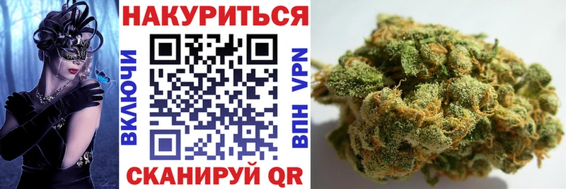 Канабис ГИДРОПОН  Оса 